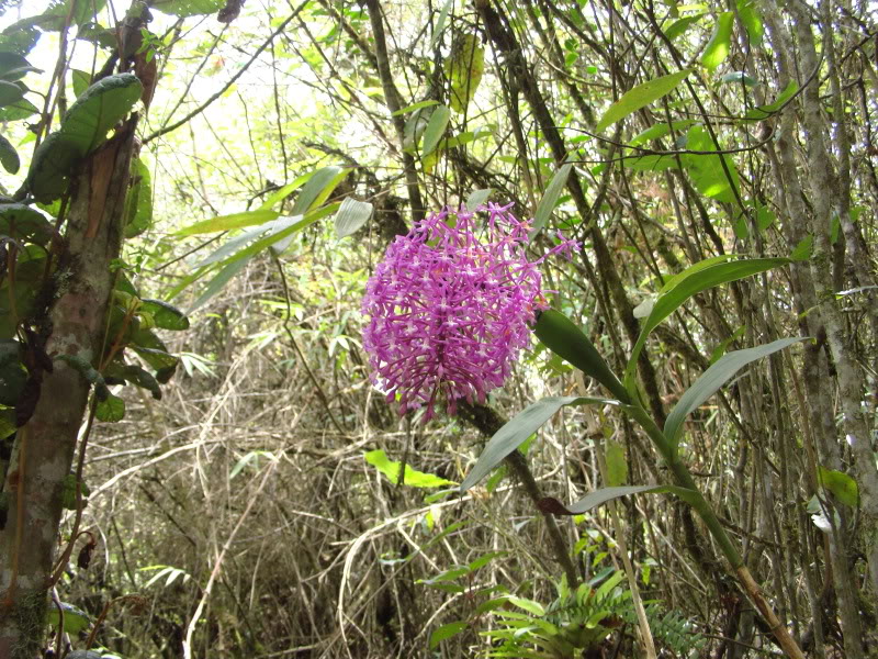 PIC_0510.jpg