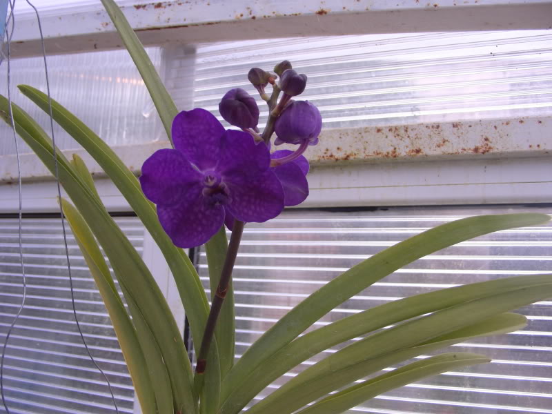 PIC_0911.jpg