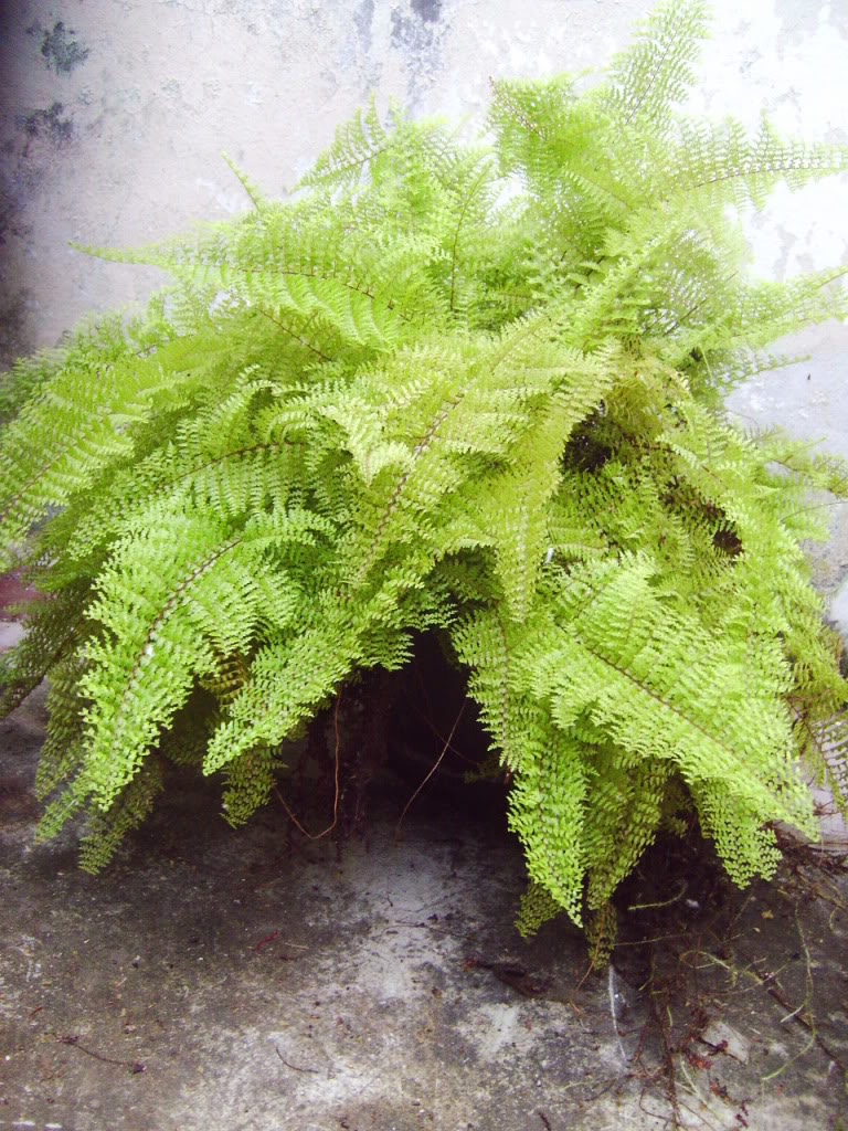 PIC_9604.jpg