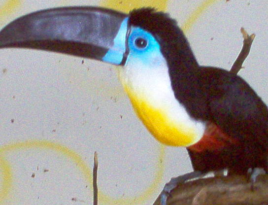 picasso%20006.jpg