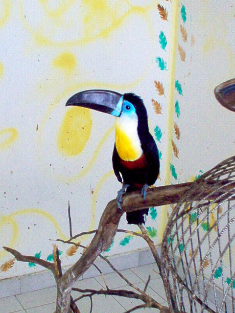 picasso%20009.jpg