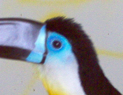 picasso%20016.jpg