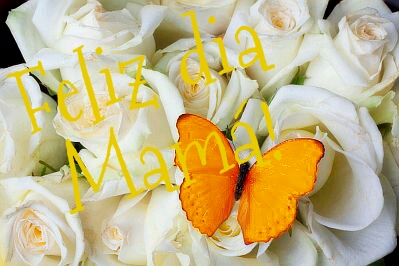 PicsArt_1399474861439_zpsj6y09g5r.jpg