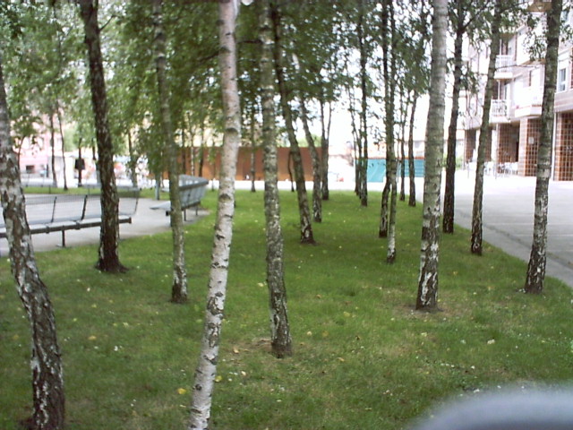 PICT0002%7E0.JPG