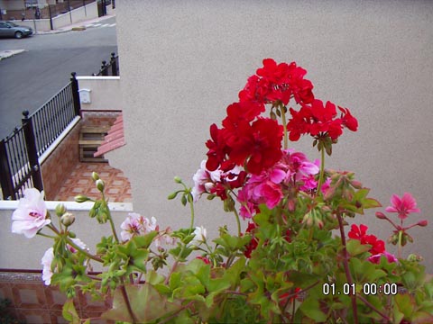 PICT0002%7E5.JPG