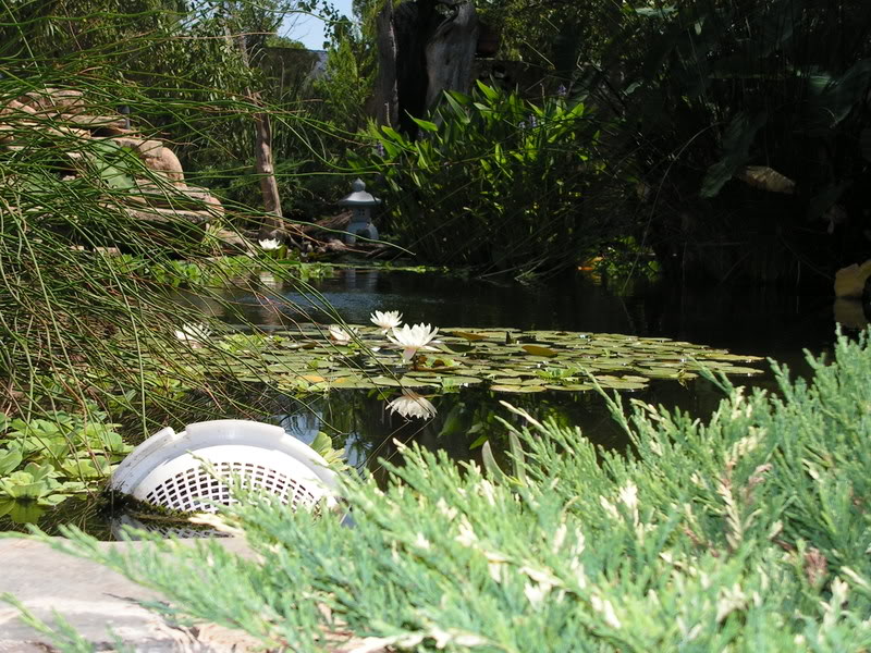 PICT0002.jpg