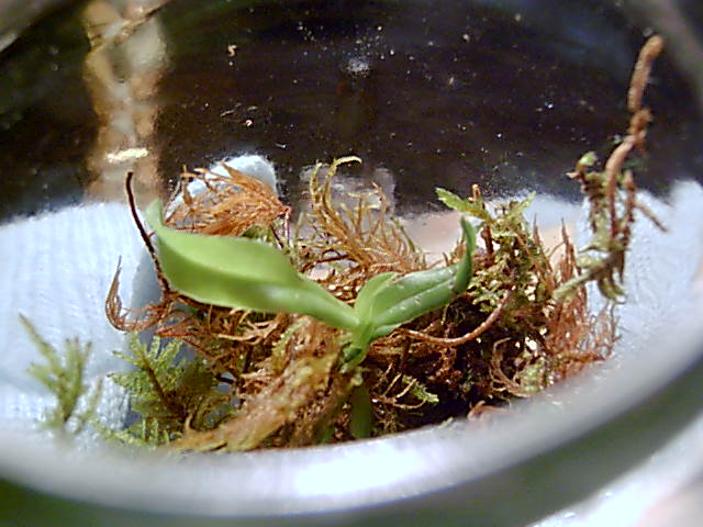 PICT0003%7E4.JPG