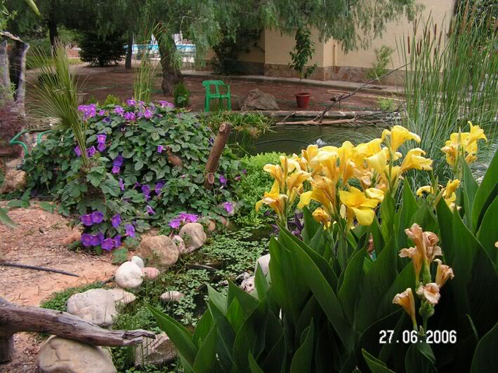 PICT0003.jpg