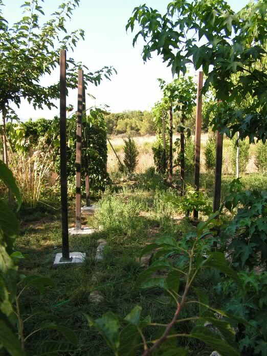 PICT0003.jpg