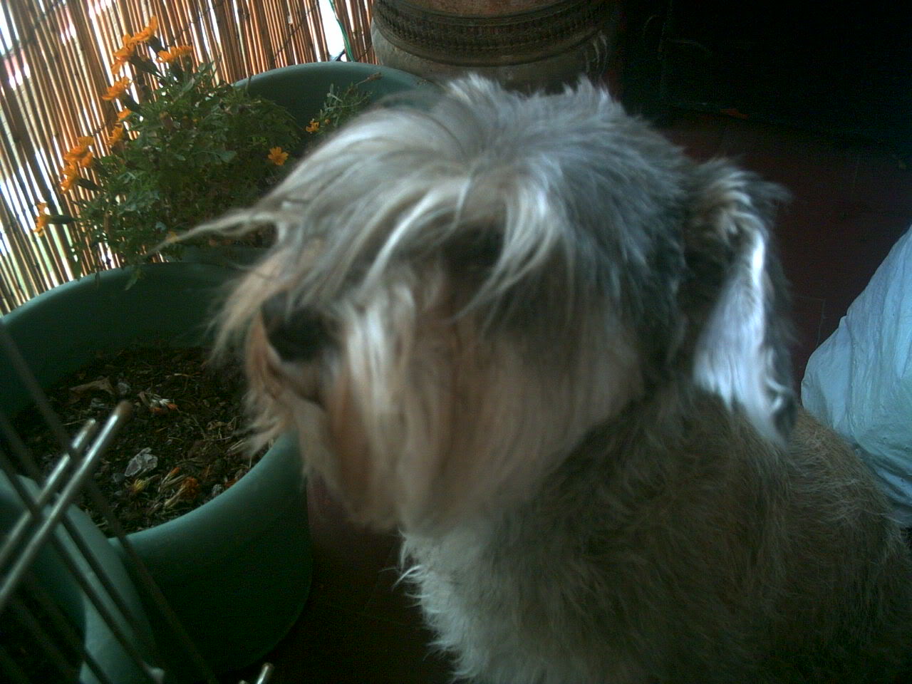 PICT0003.jpg