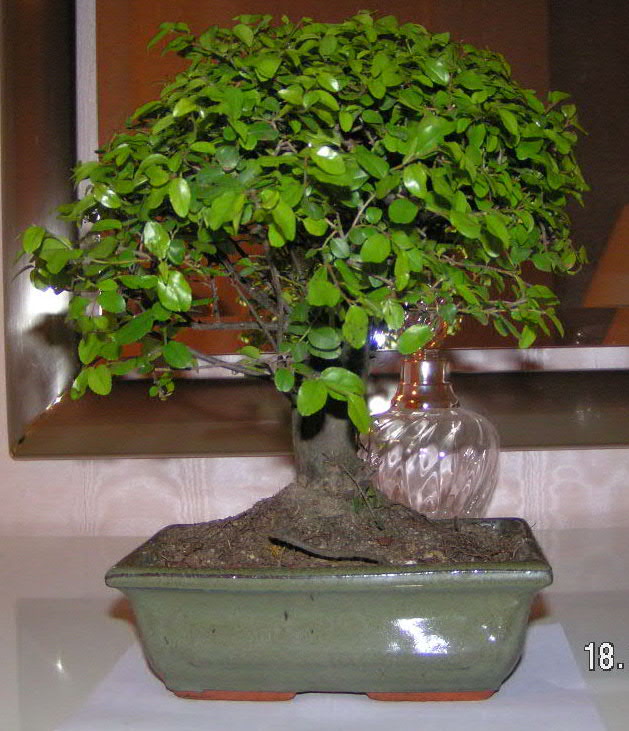 PICT0004%7E3.JPG
