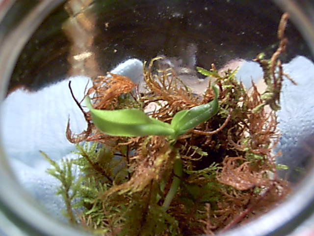 PICT0004%7E6.JPG