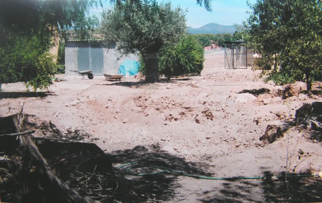 PICT0004.jpg