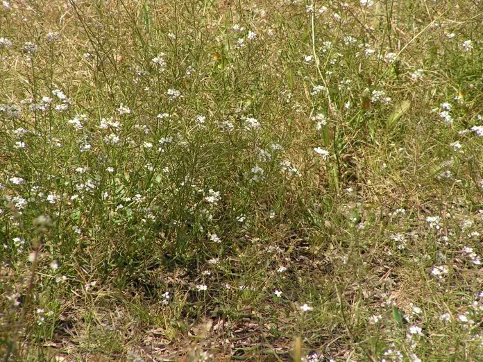 PICT0004.jpg
