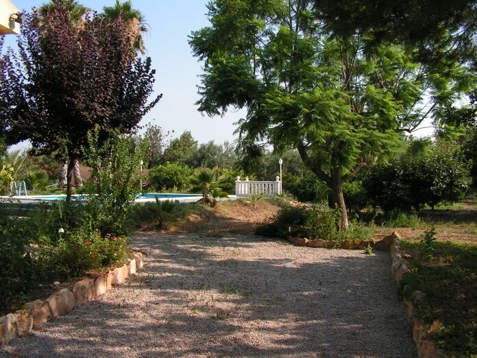 PICT0004.jpg