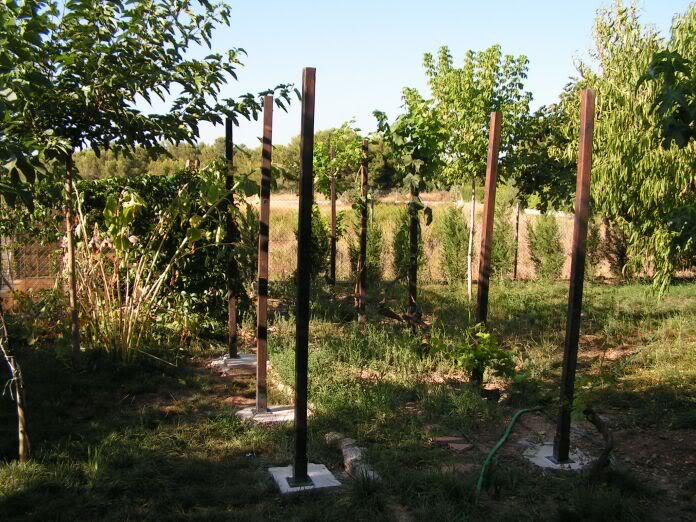 PICT0004.jpg