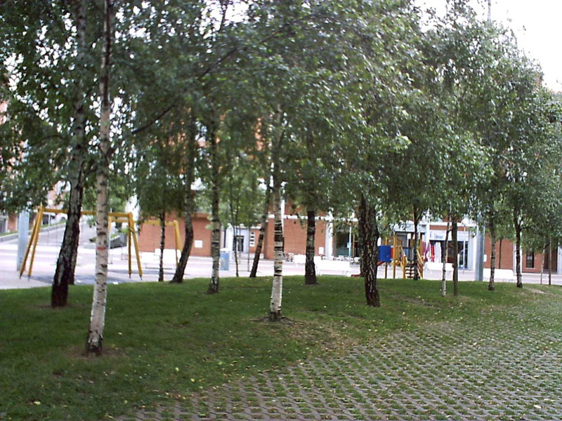 PICT0004.jpg