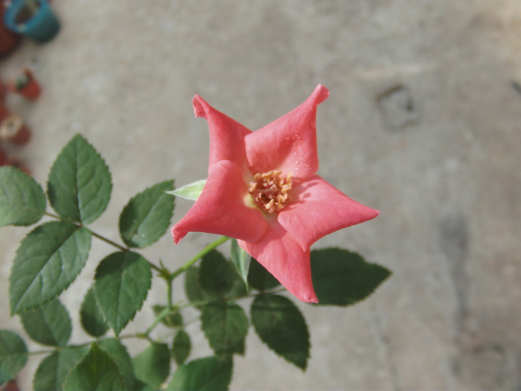 PICT0004.jpg