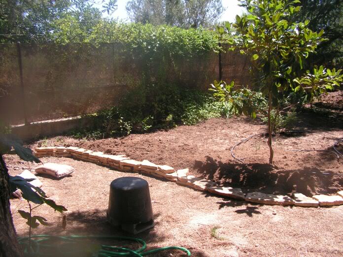 PICT0005.jpg