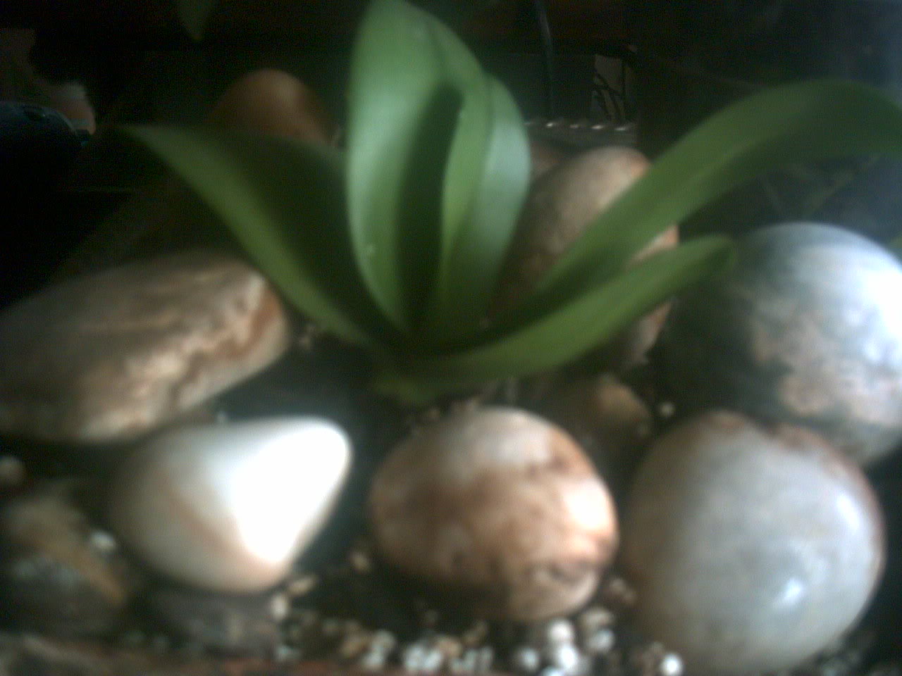 PICT0005.jpg
