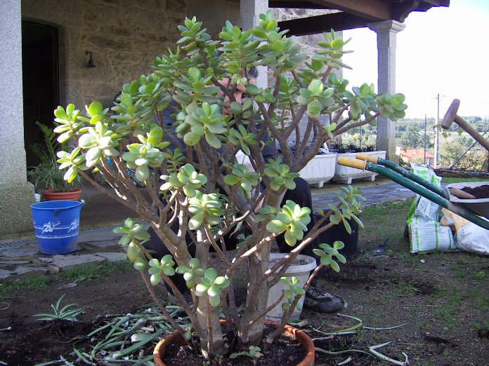 PICT0006.JPG