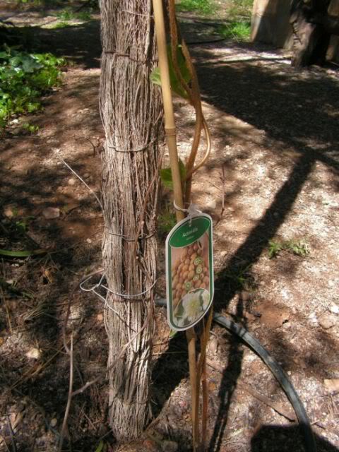 PICT0006.jpg