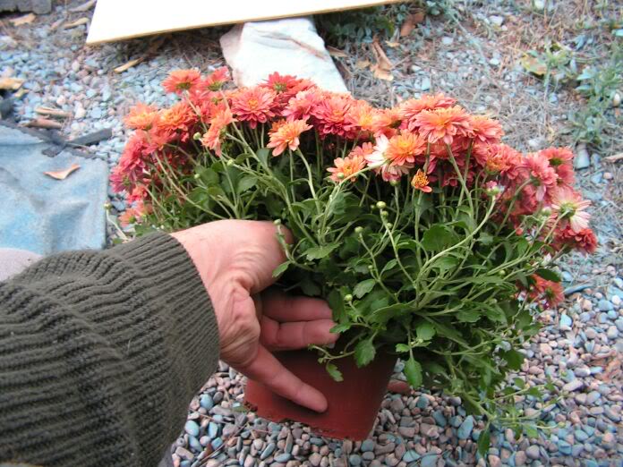 PICT0006.jpg