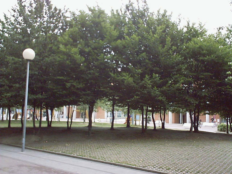 PICT0006.jpg