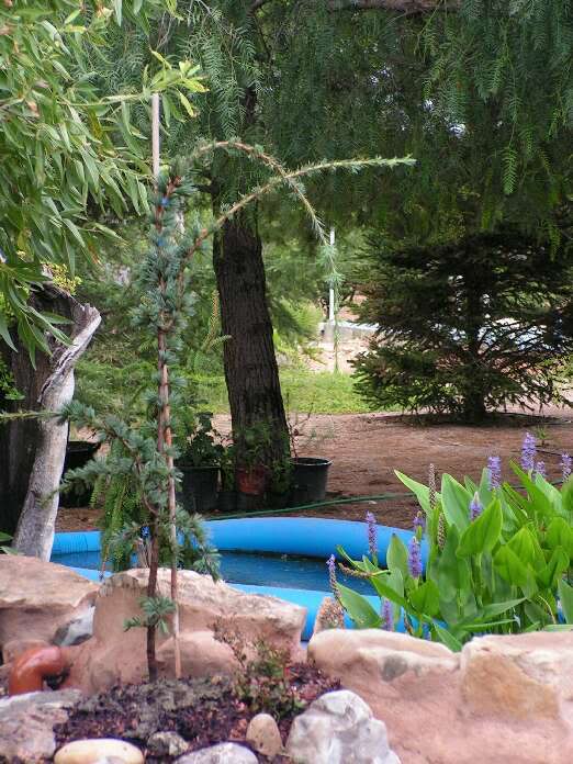 PICT0007.jpg