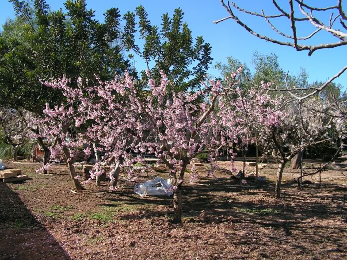 PICT0007.jpg