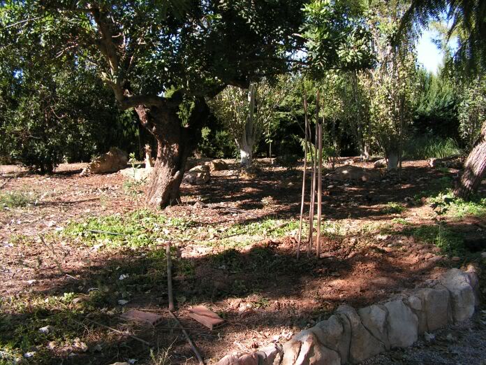 PICT0007.jpg
