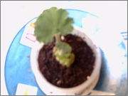 PICT0007.jpg