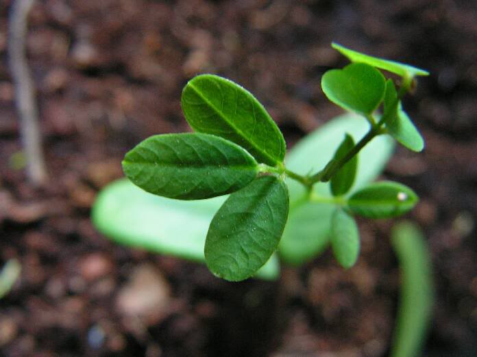 PICT0008.jpg