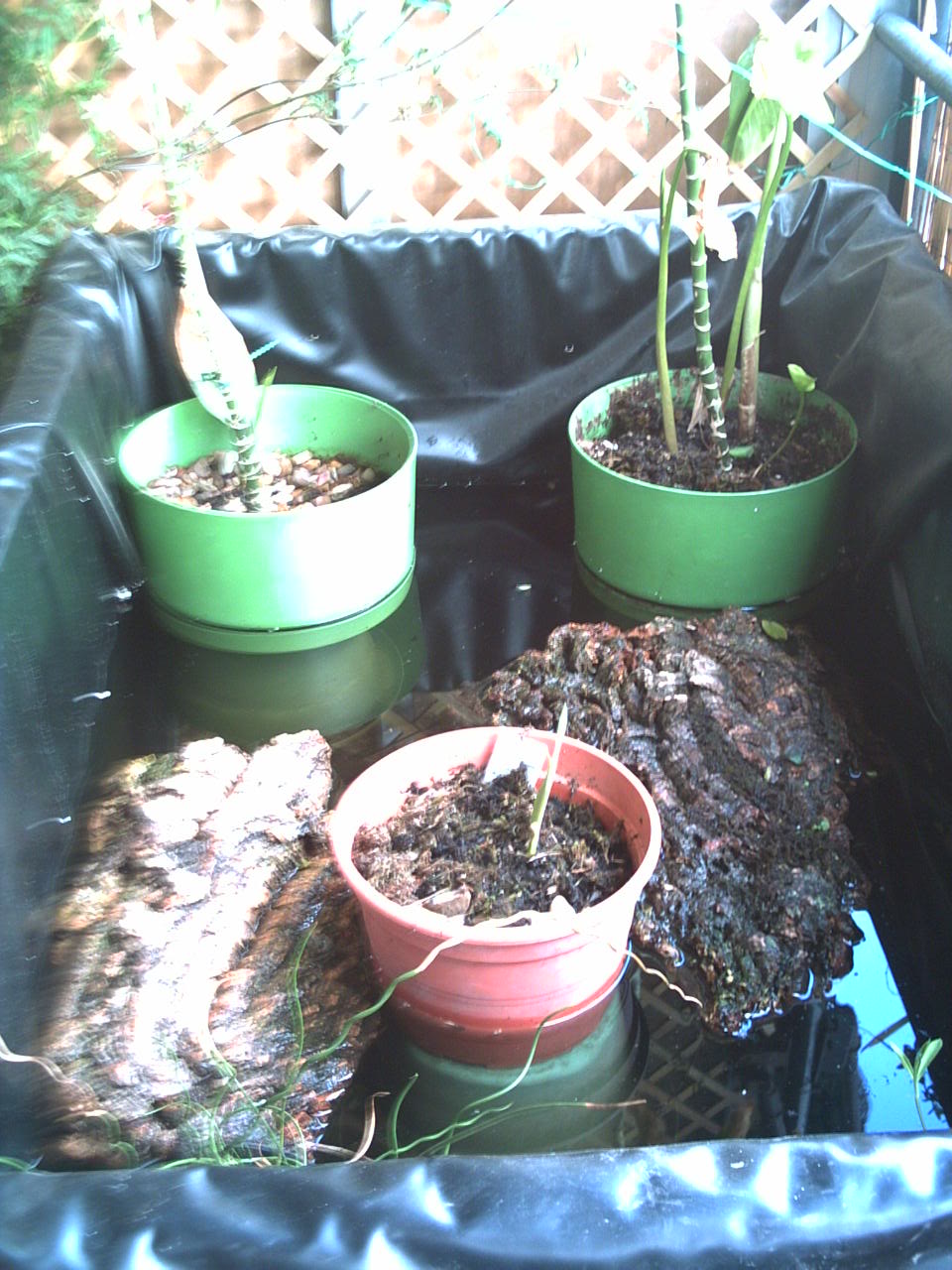 PICT0008.jpg