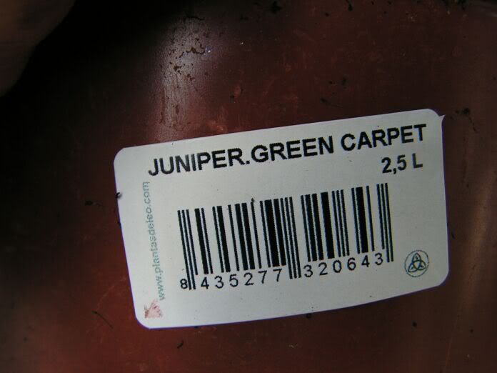 PICT0009.jpg