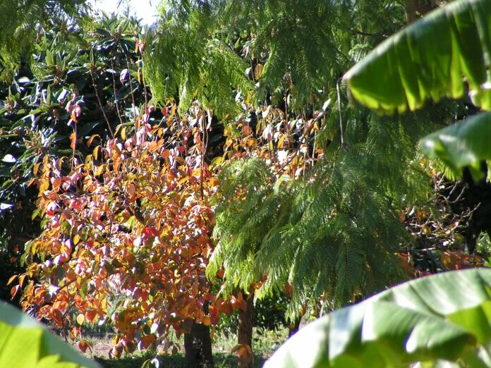 PICT0009.jpg