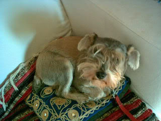 PICT0009_edited.jpg
