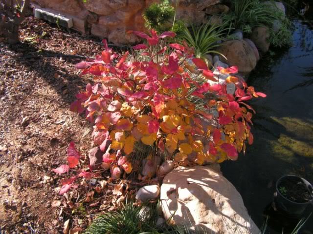 PICT0010.jpg