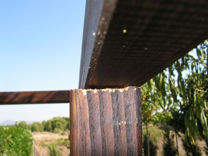 PICT0010.jpg