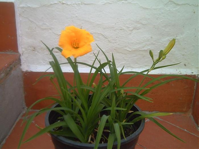 PICT0010x.jpg