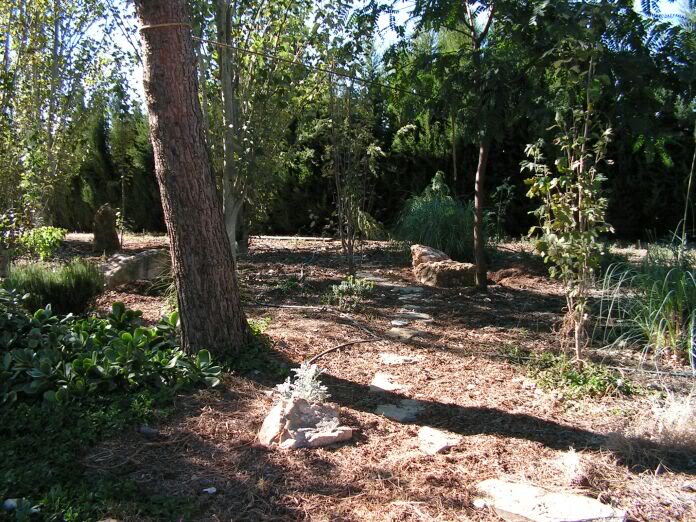 PICT0011.jpg