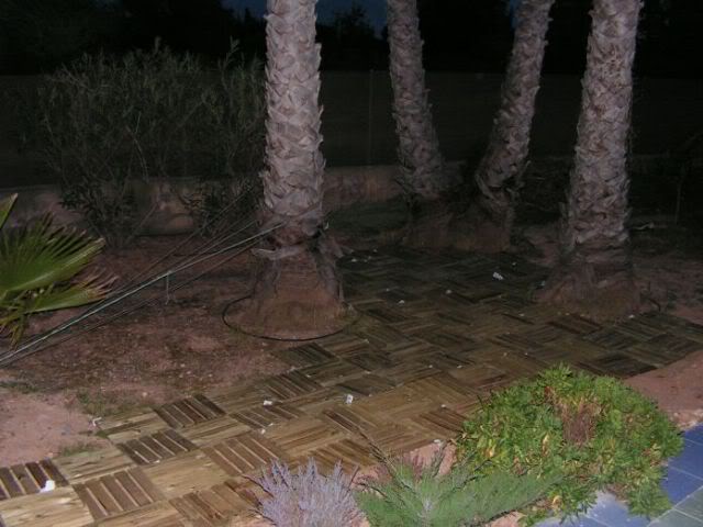 PICT0012.jpg