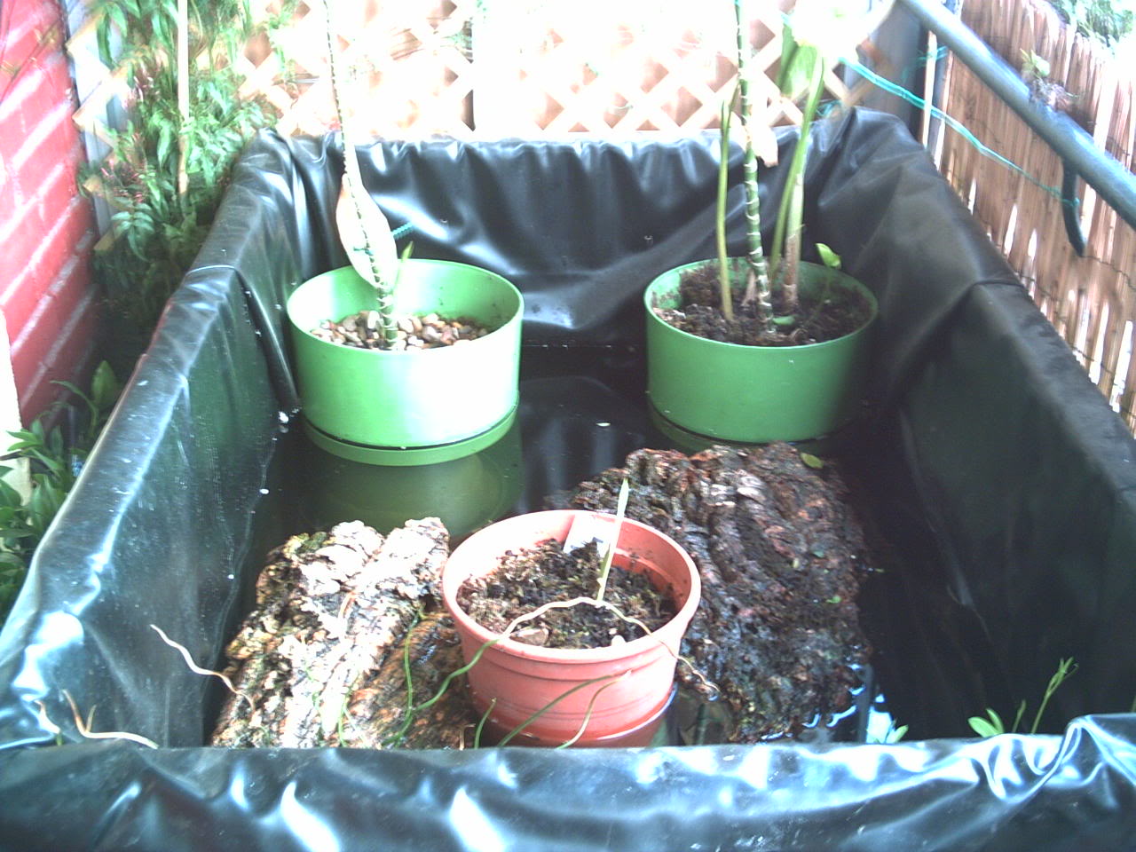PICT0012.jpg