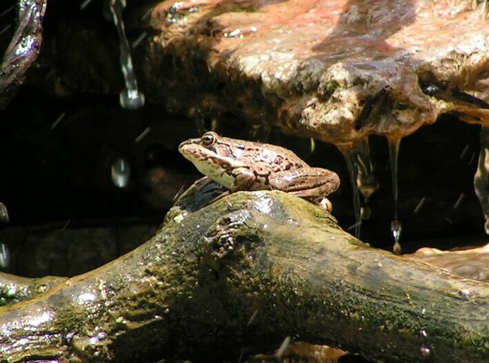 PICT0013.jpg
