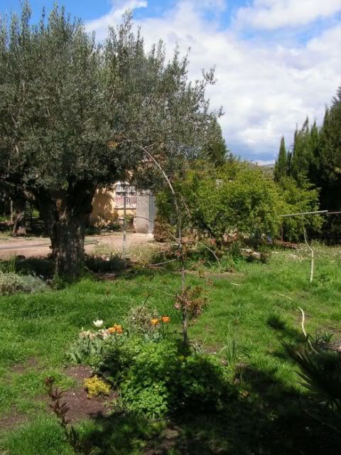 PICT0013.jpg