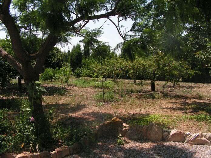 PICT0013.jpg