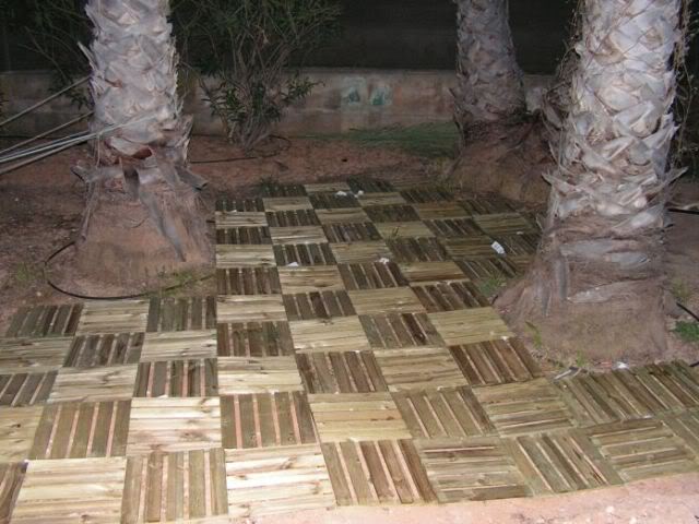 PICT0013.jpg