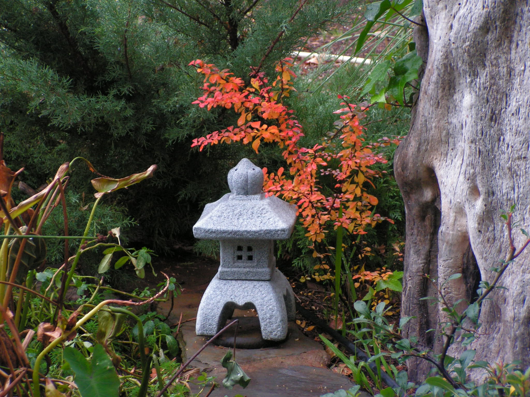 PICT0013.jpg