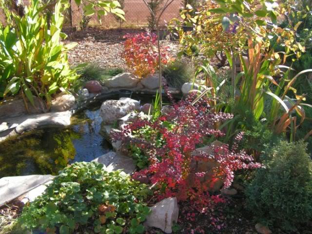 PICT0014.jpg