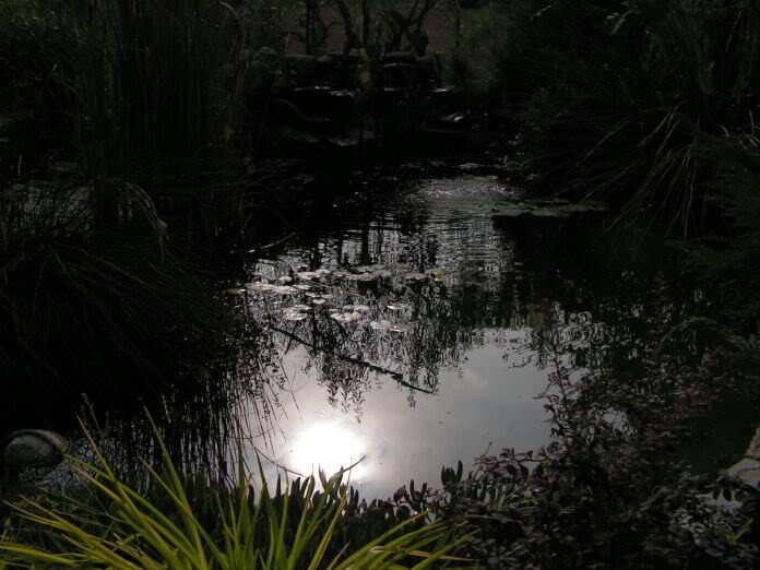 PICT0014.jpg